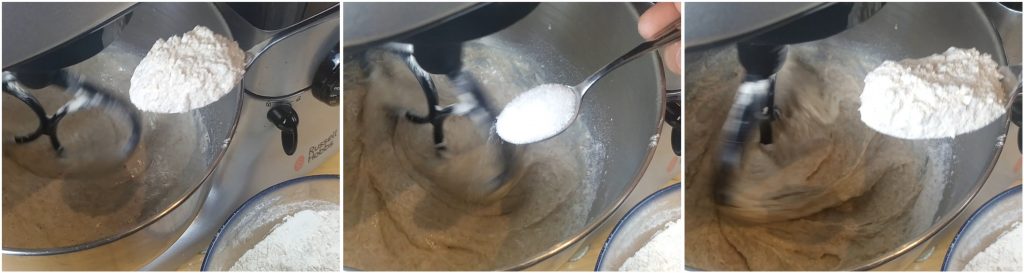 Aggiungere il mix di farine e il sale